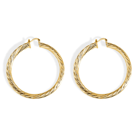 Renee Hoops