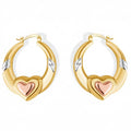 Aura tri-colour Hoops, gold filled hoop earrings by Image Gang
